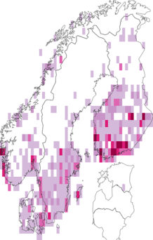 Kaarta Orthosia gothica. Data source: GBIF