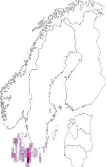 Fyndkarta för strecktecknat backfly. Datakälla: GBIF