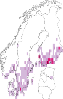 Fyndkarta för tvåfärgad atlasmätare. Datakälla: GBIF