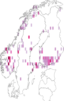 Kaarta Lampronia rupella. Data source: GBIF