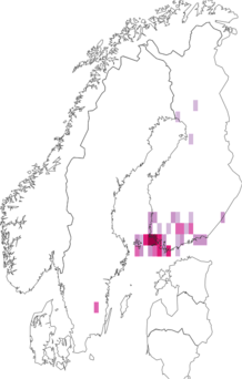 Fyndkarta för älgörtsdvärgmal. Datakälla: GBIF