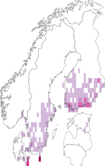 Fyndkarta för vit hakvinge. Datakälla: GBIF