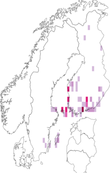 Kaarta Coleophora potentillae. Data source: GBIF