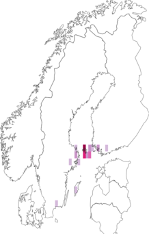Kaarta Coleophora albitarsella. Data source: GBIF