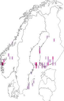 Fyndkarta för bokstavsmott. Datakälla: GBIF