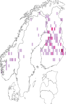 Fyndkarta för nordiskt pilfly. Datakälla: GBIF