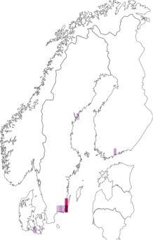 Fyndkarta för buskstjärnblomkapselmal. Datakälla: GBIF