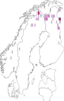 Fyndkarta för rödbrunt fjällfly. Datakälla: GBIF