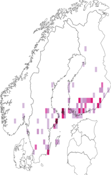 Fyndkarta för större violbrokmal. Datakälla: GBIF