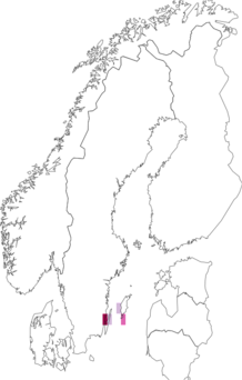 Kaarta Coleophora ochrea. Data source: GBIF