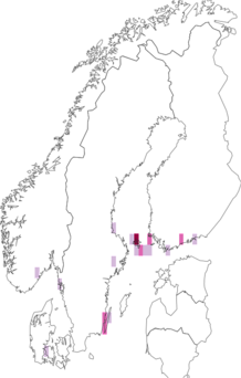 Kaarta Sorhagenia lophyrella. Data source: GBIF