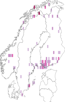 Kaarta Pyrausta porphyralis. Data source: GBIF
