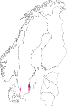 Levikukaart: Coleophora asteris. Andmete allikas: GBIF