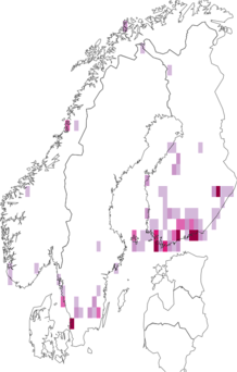Kaarta Phylloporia bistrigella. Data source: GBIF