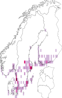 Fyndkarta för gråbrunt vindefjädermott. Datakälla: GBIF