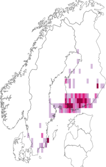 Kaarta Coleophora argentula. Data source: GBIF