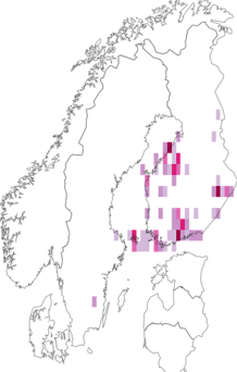 Kaarta Heliozela resplendella. Data source: GBIF