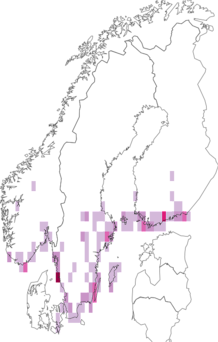 Kaarta Eudonia mercurella. Data source: GBIF