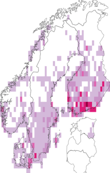 Kaarta Lomaspilis marginata. Data source: GBIF