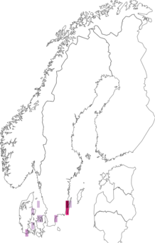 Kaarta Ypsolopha mucronella. Data source: GBIF