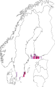 Kaarta Coleophora caelebipennella. Data source: GBIF