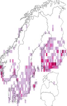 Fyndkarta för violettrött skogsfly. Datakälla: GBIF