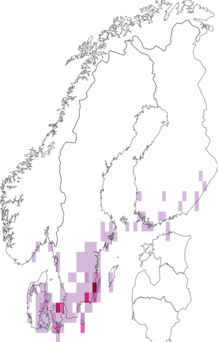 Levikukaart: kollatähn-pajuliblikas. Andmete allikas: GBIF