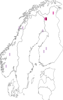 Kaarta Agonopterix arctica. Data source: GBIF