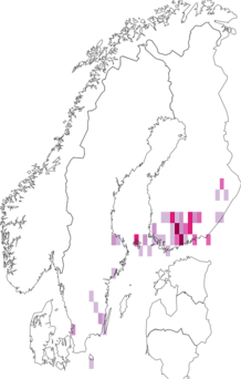 Kaarta Coleophora ahenella. Data source: GBIF