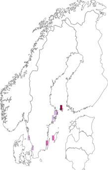 Kaarta Coleophora limosipennella. Data source: GBIF