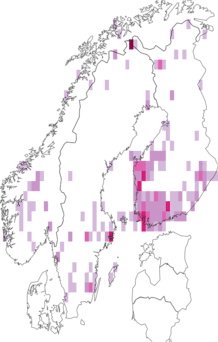 Kaarta Prolita sexpunctella. Data source: GBIF