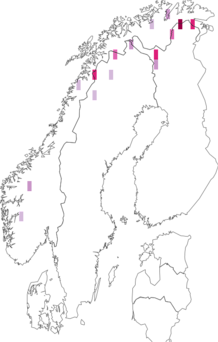 Fyndkarta för högnordiskt hedfly. Datakälla: GBIF