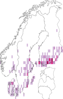 Kaarta Hecatera bicolorata. Data source: GBIF