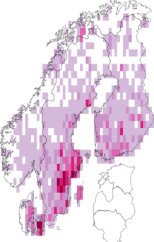 Fyndkarta för prydlig pärlemorfjäril. Datakälla: GBIF