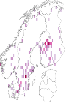 Fyndkarta för mygglik glasvinge. Datakälla: GBIF