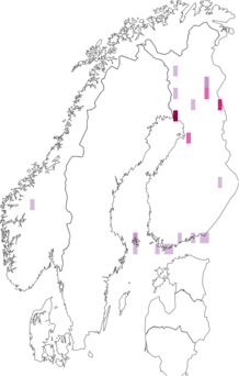 Fyndkarta för slåtterblomsmal. Datakälla: GBIF