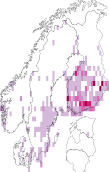 Kaarta Diarsia dahlii. Data source: GBIF