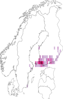 Kaarta Coleophora peribenanderi. Data source: GBIF