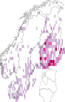 Fyndkarta för rödflammigt backfly. Datakälla: GBIF