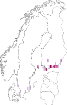 Fyndkarta för vitbröstad brokmal. Datakälla: GBIF