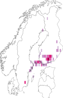 Fyndkarta för stenbärsdvärgmal. Datakälla: GBIF