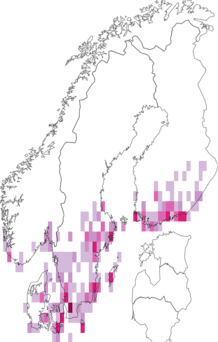 Levikukaart: kevad-kääbuskaruslane. Andmete allikas: GBIF