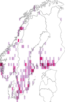 Kaarta Agriopis aurantiaria. Data source: GBIF