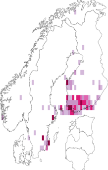 Kaarta Coleophora sternipennella. Data source: GBIF