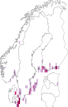 Kaarta Epirrhoe galiata. Data source: GBIF