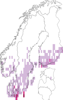 Fyndkarta för tandat johannesörtfly. Datakälla: GBIF