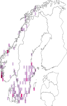 Kaarta Diarsia florida. Data source: GBIF