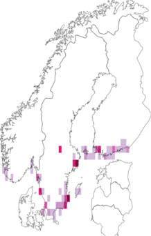 Kaarta Argyresthia albistria. Data source: GBIF