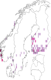 Kaarta Acleris hyemana. Data source: GBIF