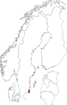 Kaarta Coleophora conyzae. Data source: GBIF